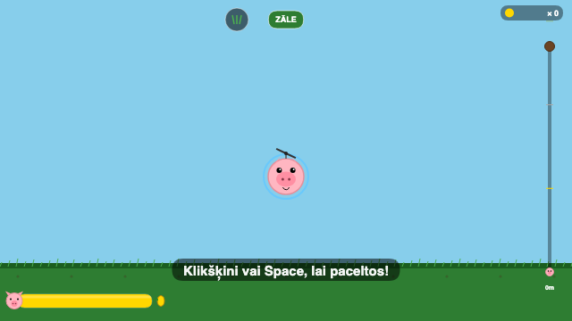 Sky Pig
