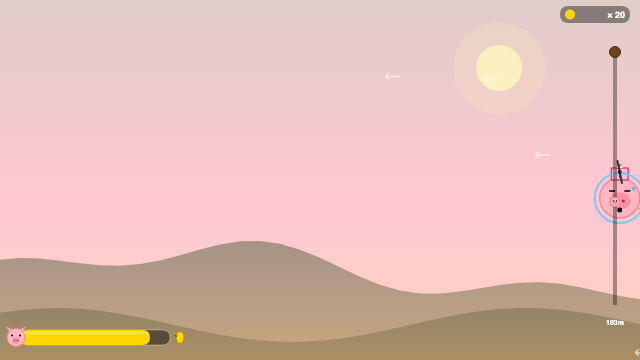 Sky Pig